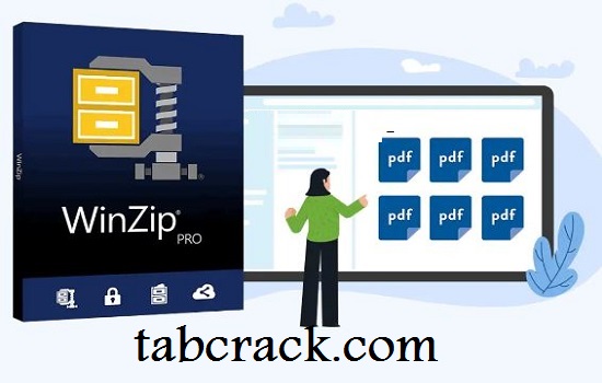 WinZip Pro Crack