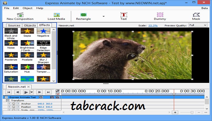 NCH Express Animate 9.30 download the new version for windows