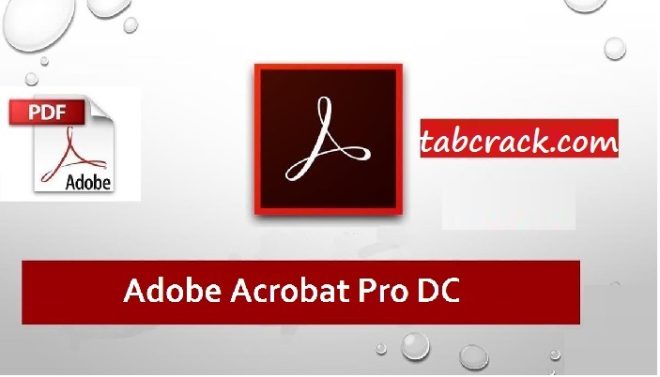 Adobe Acrobat Pro DC 2024.003.20054 Crack + Torrent Activated