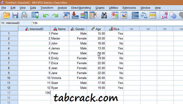 IBM SPSS Statistics License Key