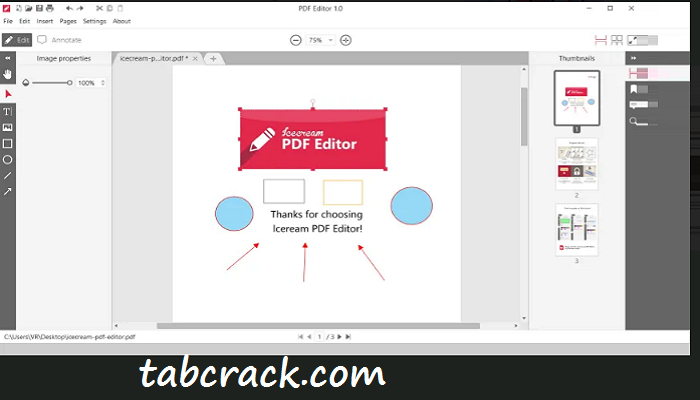 Icecream PDF Editor Pro Activation Key