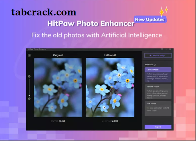 HitPaw Photo Enhancer Crack